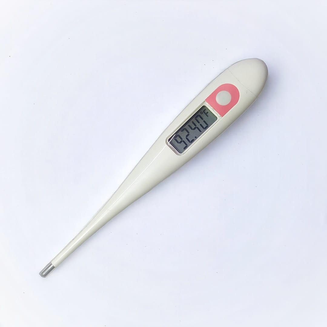 Digital Ovulation Thermometer with 2 decimal places - Pregnancy Planning and Temperature Tracking