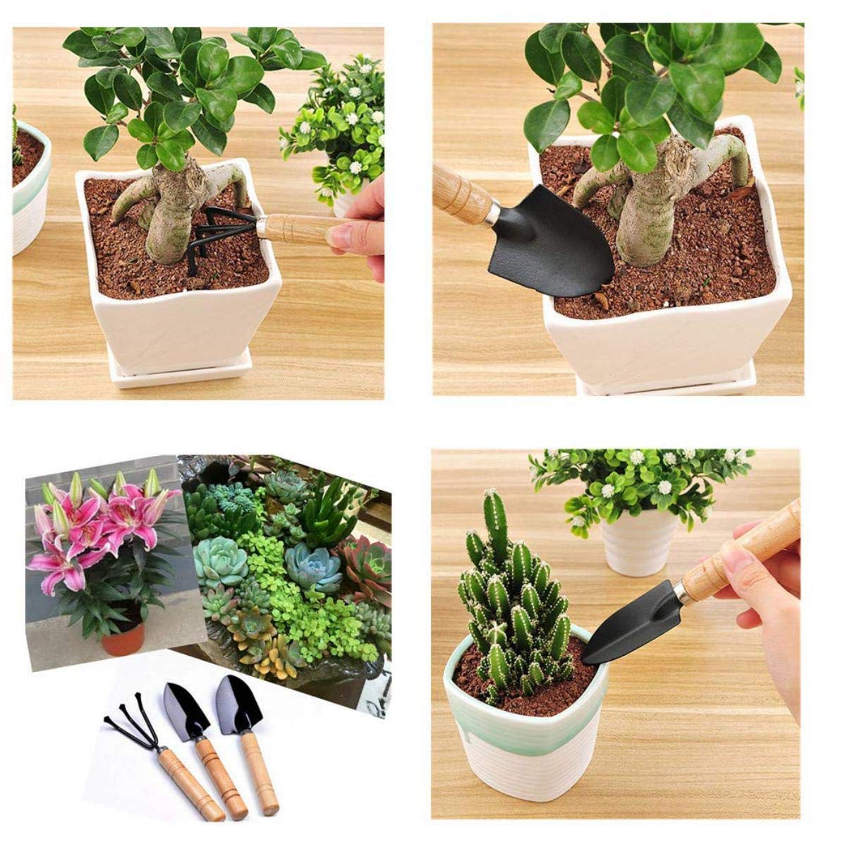 3 Pcs Mini Garden Tool Set Gardening Shovel, Gardening Tools kit Hand Cultivator, Small Trowel, Garden Fork, Spade, Rake with Wooden Handles